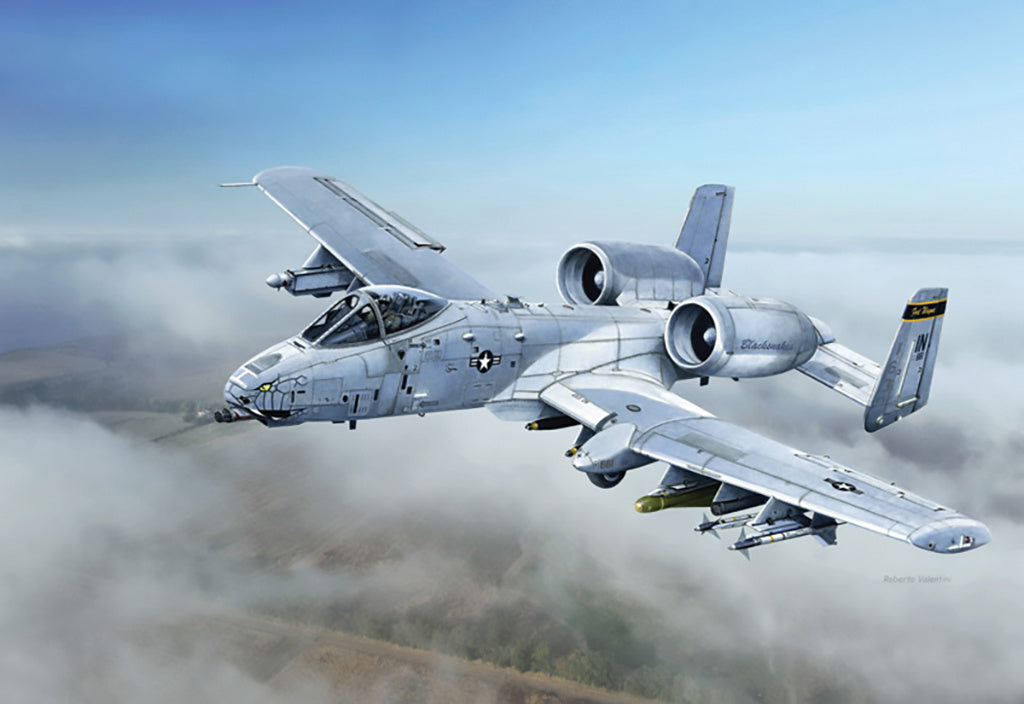 Italeri 1/48 A-10C "Blacksnakes" Aircraft Scale Model Kit 2725