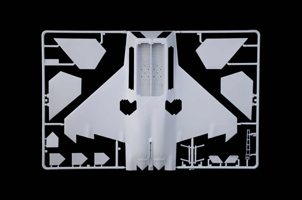 Italeri 1:48 F-22 Raptor Fighter Jet Scale Model Kit 2822