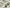 Tamiya 1/48 JGSDF LIGHT ARMORED VEHICLE Model Kit 32590