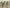 WWII- GERMAN INFANTRY