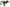 Bandai SD Gundam Ex-Standard Gundam Deathscythe Hell Ew Model kit 65626