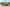 Semovente M42 da 75/34