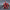 Bandai Spirits SD Gundam Ex-Standard Sazabi Model Kit 60929