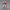 Bandai spirits Gundam MG 1/100 Astray Red Frame Revise model kit MK61607