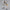 Bandai Spirits MG 1/100 Gundam Sandrock EW Version Model Kit MK63043