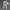 Bandai MG 1/100 Tallgeese I EW Version Model Kit MK62845