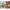 ICM 1/48 Spitfire Mk.XVI WWII British Fighter Scale Model Kit