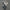 Bandai MG 1/100 Tallgeese I EW Version Model Kit MK62845
