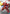 Bandai Spirits SD Gundam Ex-Standard Sazabi Model Kit 60929